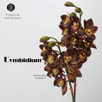 Aranjament din orhidee Cymbidium din mătase - 8 capete și 3 muguri, senzație de hidratare, ambalaj carton