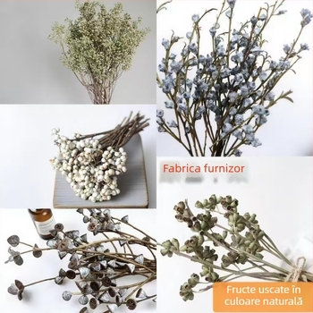 Flori uscate de eucalipt, fruct zombie, fruct mic alb, fruct de mei, fruct cu formă de cruce, flori reale în culoare naturală pentru aranjamente DIY