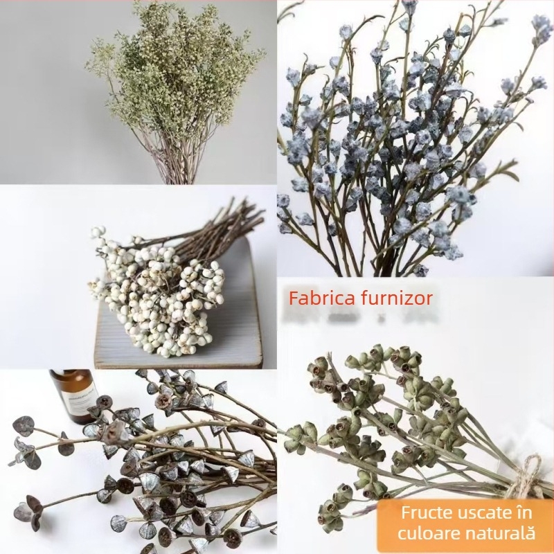 Flori uscate de eucalipt, fruct zombie, fruct mic alb, fruct de mei, fruct cu formă de cruce, flori reale în culoare naturală pentru aranjamente DIY