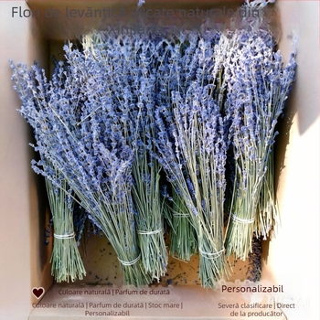 Buchet de lavandă din flori uscate, naturale, fără colorare, cu tulpini uscate, pentru săculețe de aromaterapie, ambalaj: pungă OPP