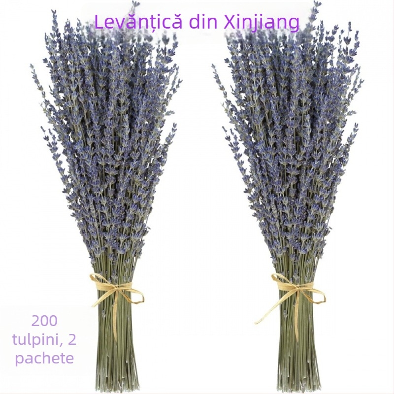 Buchet de lavandă din flori uscate, naturale, fără colorare, cu tulpini uscate, pentru săculețe de aromaterapie, ambalaj: pungă OPP