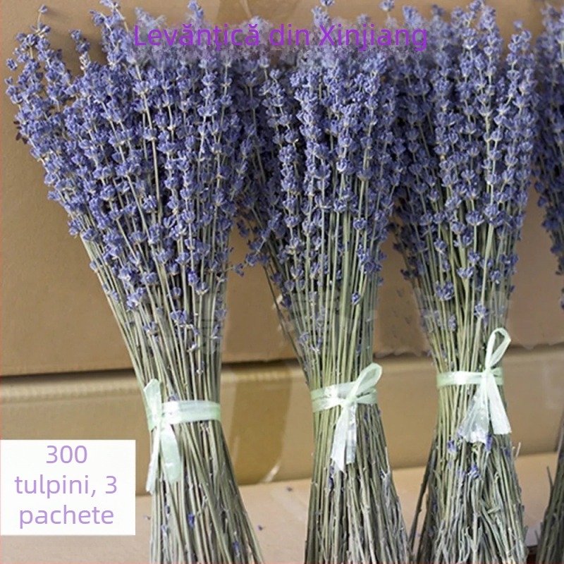 Buchet de lavandă din flori uscate, naturale, fără colorare, cu tulpini uscate, pentru săculețe de aromaterapie, ambalaj: pungă OPP