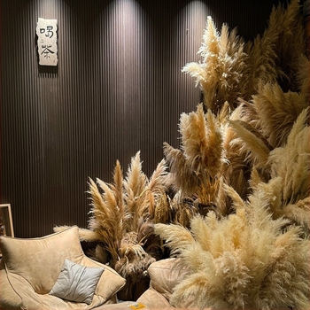 Buchet uscat din pampas pentru decor acasă și la nuntă, ambalare în pungă sau cutie, brand Diancaofang