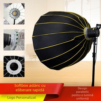 Soft lightware pentru fotografie și streaming live; model britanic 1-116; construcție din plastic; sarcină maximă 6–10 kg.