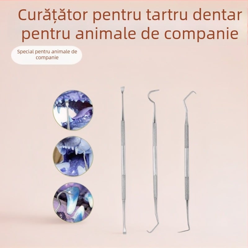 Set instrumente dentare din oțel inoxidabil pentru animale de companie — sondă orală și curățător de tartru, 55 g