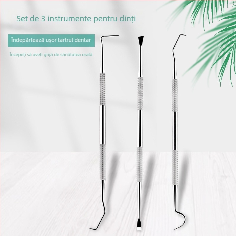 Set instrumente dentare din oțel inoxidabil pentru animale de companie — sondă orală și curățător de tartru, 55 g