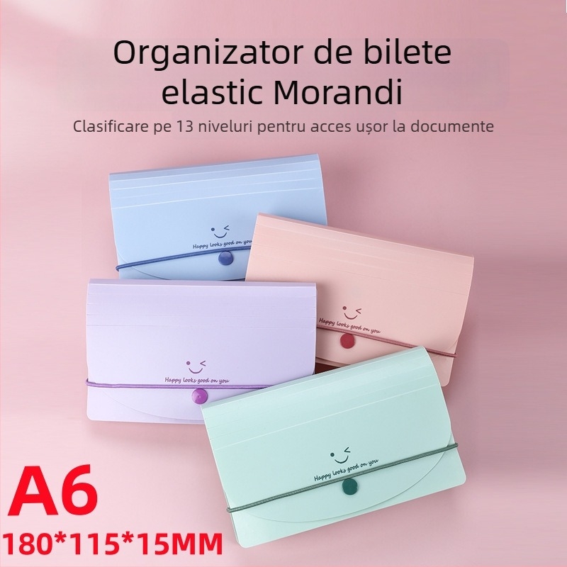 Dosar A6 din PP cu 13 compartimente, stil acordeon, clasificare TVA facturi, serie Smiley Face