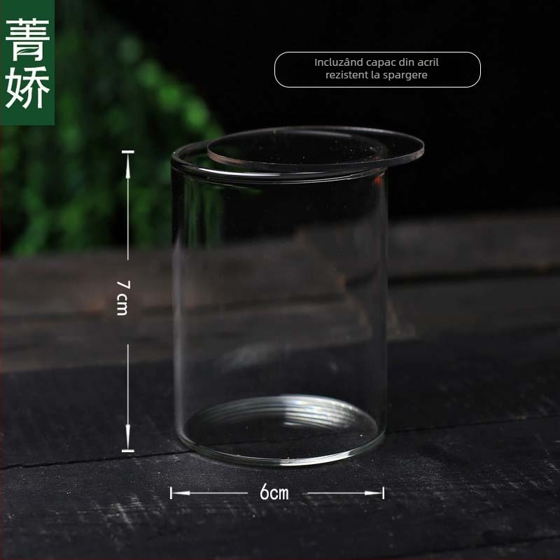 Mini sticlă dreptunghiulară cu capac acrilic pentru peisaj de mușchi — sticlă borosilicat înalt, Jing Jiao, ambalaj din carton, așezare pe masă