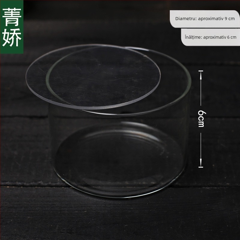 Mini sticlă dreptunghiulară cu capac acrilic pentru peisaj de mușchi — sticlă borosilicat înalt, Jing Jiao, ambalaj din carton, așezare pe masă