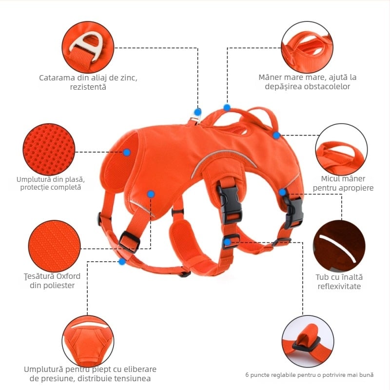 Ham pentru câini (Nylon; Non-extensibil; Brand: Cool Rui)