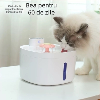 Dispenser de apă DC07 pentru pisici și câini – detașabil, greutate 1 kg