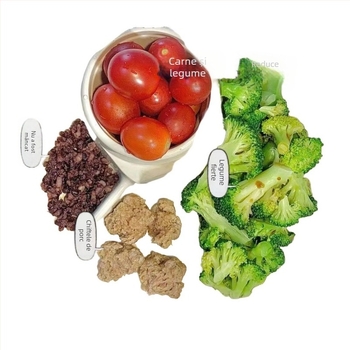 Farfurie de masă cu patru compartimente, circulară, din plastic, pentru o persoană – turnată dintr-un singur corp, rezistentă la cădere, necompatibilă cu microundele