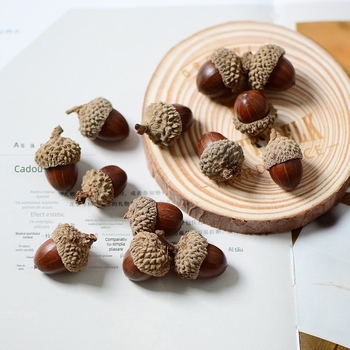 ACORN fructe uscate naturale pentru cunună, ghindă reală, accesorii de nuntă în stil pădure, materiale pentru ghirlande uscate, recuzită pentru ședințe foto, ambalate în pungă OPP