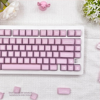 Keycaps pentru tastatură mecanică, material PbTs, compatibilitate universală, marcă privată, greutate 420 g