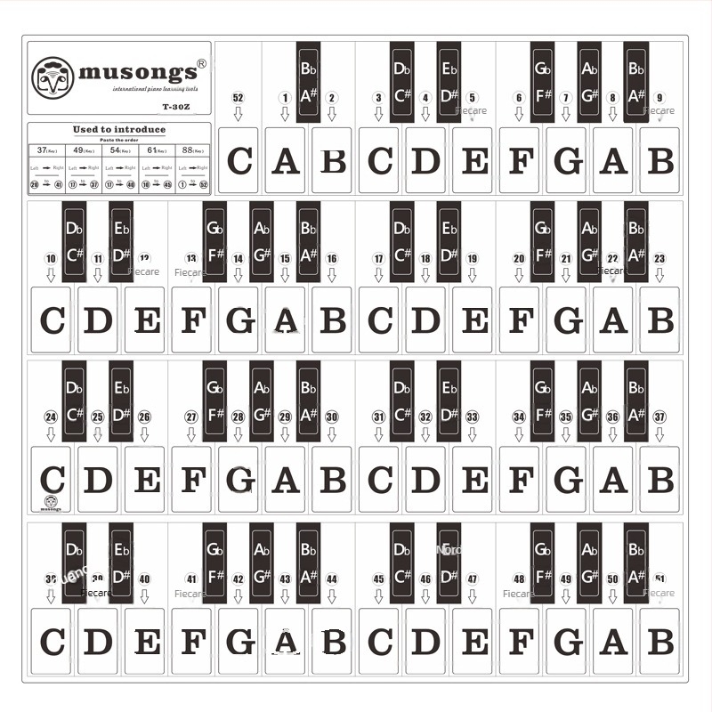 Etichetă pentru taste de pian, model T-30Z, PVC transparent, taste neadezive, compatibilă cu 88 de taste