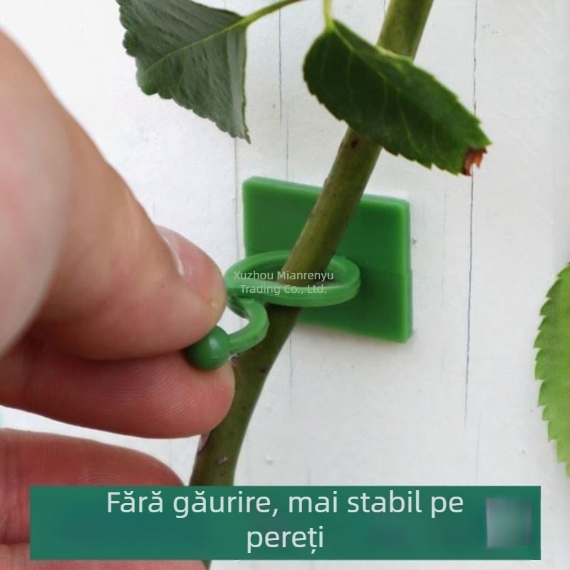 Set din trei piese pentru fixare a plantelor cățărătoare pe perete