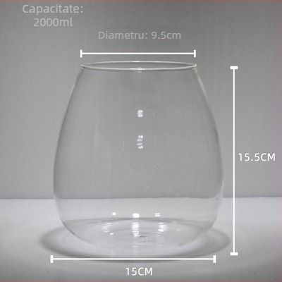 Sticlă cu micro-peisaj de mușchi – sticlă din borosilikat înalt, decor DIY pentru birou, cadou pentru casă