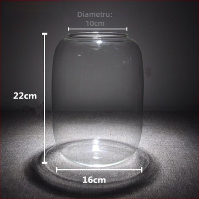 Sticlă cu micro-peisaj de mușchi – sticlă din borosilikat înalt, decor DIY pentru birou, cadou pentru casă