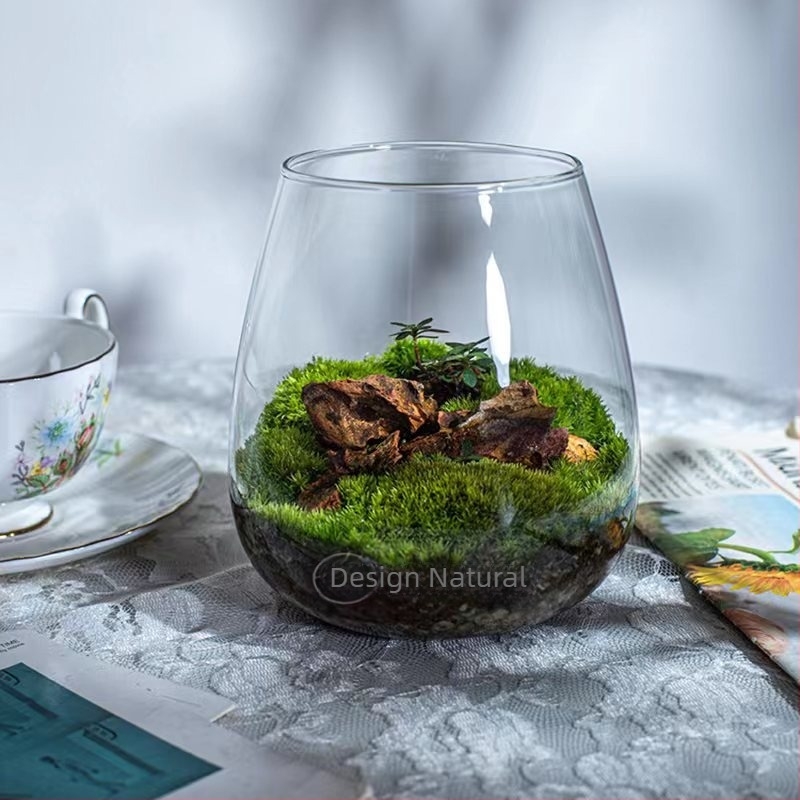 Sticlă cu micro-peisaj de mușchi – sticlă din borosilikat înalt, decor DIY pentru birou, cadou pentru casă