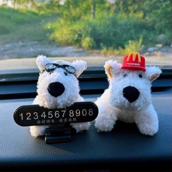 Decorație ascunsă pentru plăcuța de înmatriculare a mașinii, consolă centrală, plastic, model 1