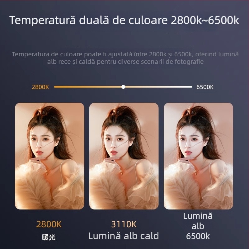 Shenniu LDP8D/BI 18D/BI Lumină de fill pentru fotografie, interior/exterior, panou de lumină moale, intensitate reglabilă, alimentare proprie