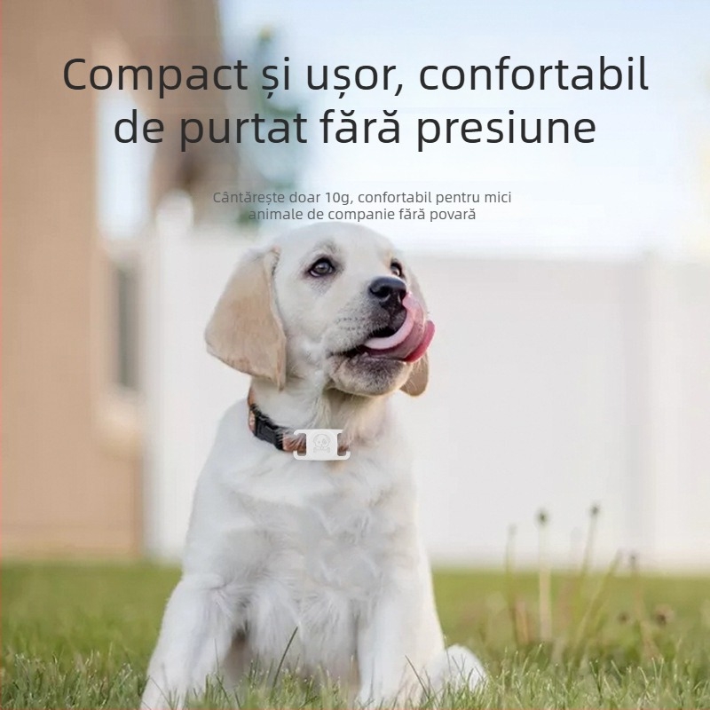 Localizator GPS pentru câini – anti-pierdere, mini, impermeabil, zgardă pentru animale de companie (GPS, mini, impermeabil)