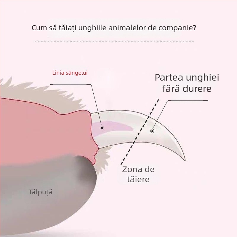 Tăietor de unghii pentru animale de companie, 2 în 1, cu pilă LED pentru pisici
