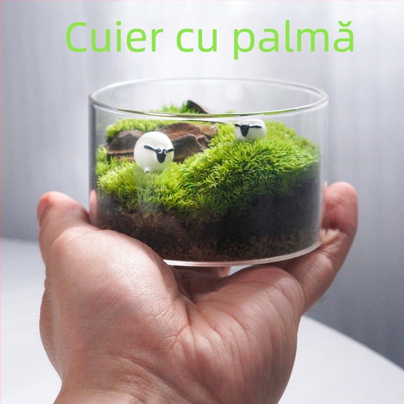 Sticlă terrariu cu mușchi - DIY mini decor pentru birou/acasă, sticlă borosilikat de înaltă calitate, model TB674839126224, cadou de afaceri