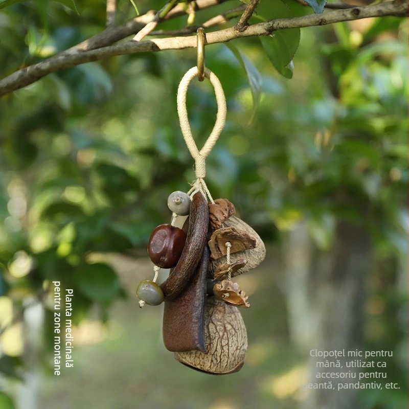 Pandantiv pentru geantă — cochilie naturală de fructe, fabricat manual, sonerie pentru terapie sonoră, model vegetal, clopot de pădure