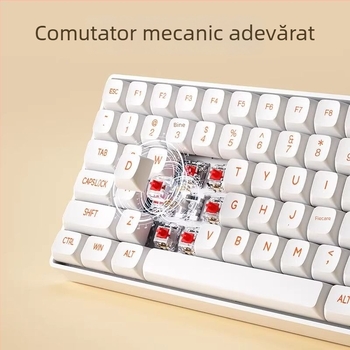 Set tastatură și mouse mecanice, fără fir CK104, 106 taste, switchuri verzi
