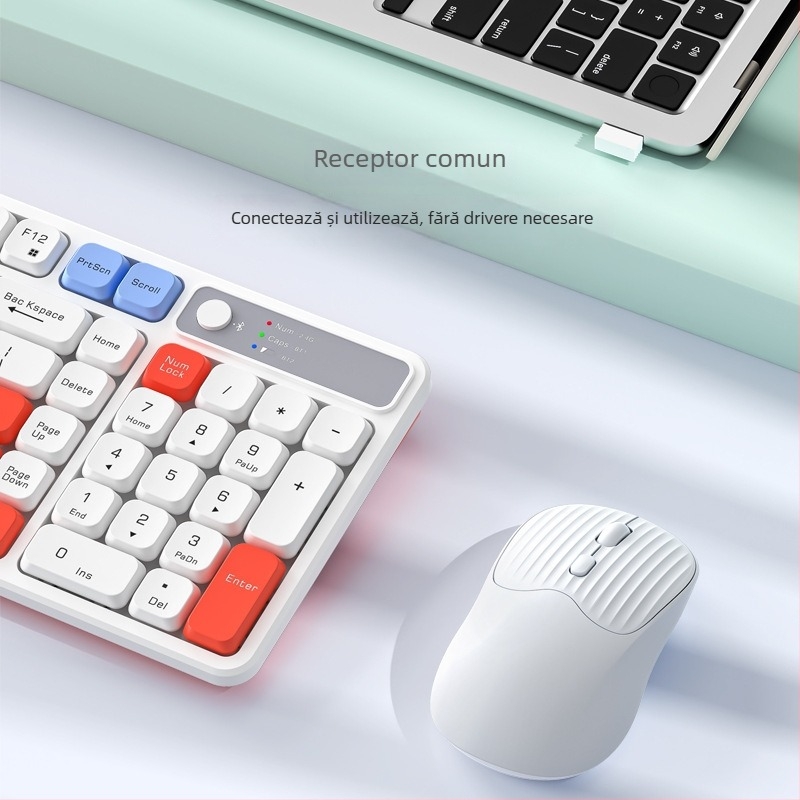 Set tastatură și mouse wireless cu Bluetooth, reîncărcabil, interfețe USB pentru tastatură și mouse, pentru desktop și laptop