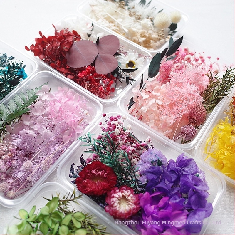 Kit DIY cu flori uscate – amestec de flori uscate cu gypsophila, Mingmens