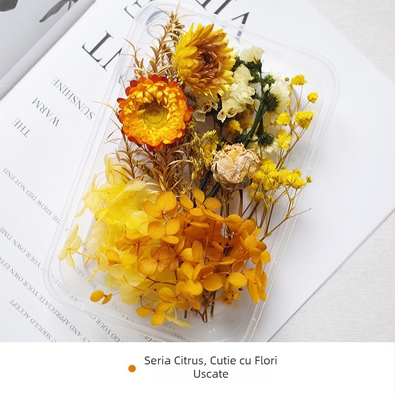 Kit DIY cu flori uscate – amestec de flori uscate cu gypsophila, Mingmens