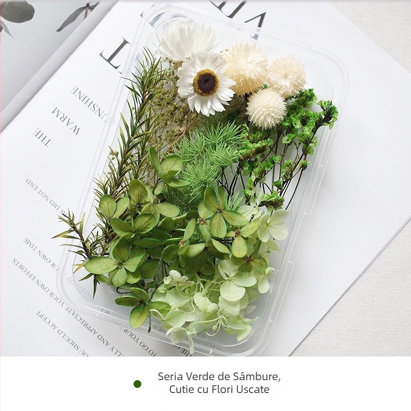 Kit DIY cu flori uscate – amestec de flori uscate cu gypsophila, Mingmens