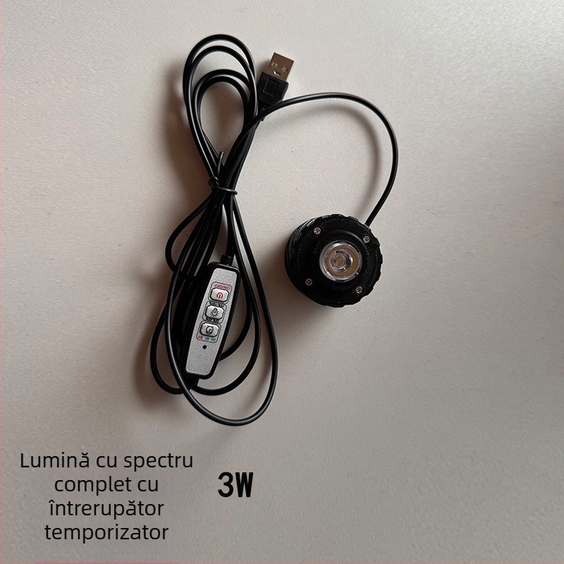 Sticlă ecologică din borosilikat de înaltă calitate pentru micro-peisaj cu lampă USB pentru plante – Material DIY
