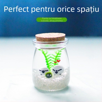 Borcan din sticlă cu micro peisaj pentru hidroponie DIY – ornament mini cadou