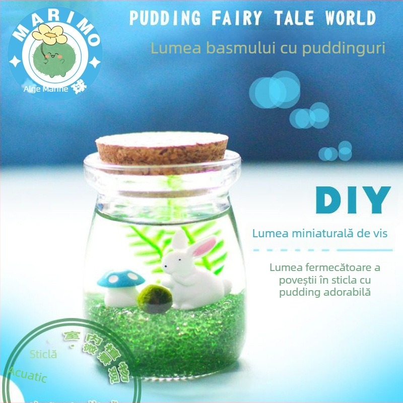 Borcan din sticlă cu micro peisaj pentru hidroponie DIY – ornament mini cadou