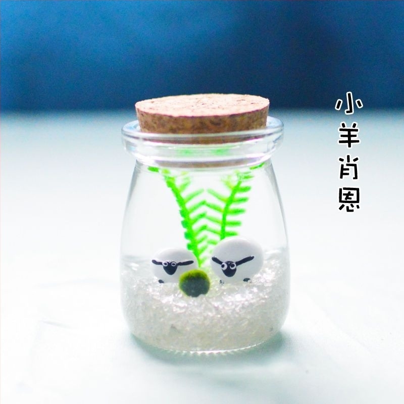 Borcan din sticlă cu micro peisaj pentru hidroponie DIY – ornament mini cadou