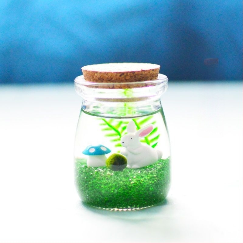 Borcan din sticlă cu micro peisaj pentru hidroponie DIY – ornament mini cadou