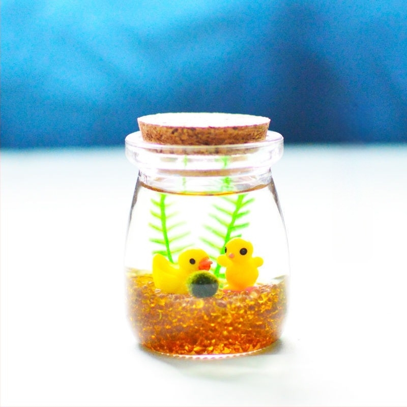 Borcan din sticlă cu micro peisaj pentru hidroponie DIY – ornament mini cadou