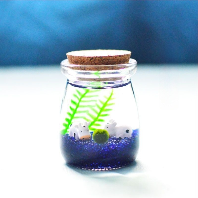 Borcan din sticlă cu micro peisaj pentru hidroponie DIY – ornament mini cadou