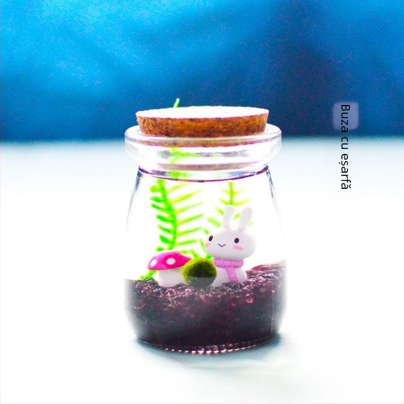 Borcan din sticlă cu micro peisaj pentru hidroponie DIY – ornament mini cadou