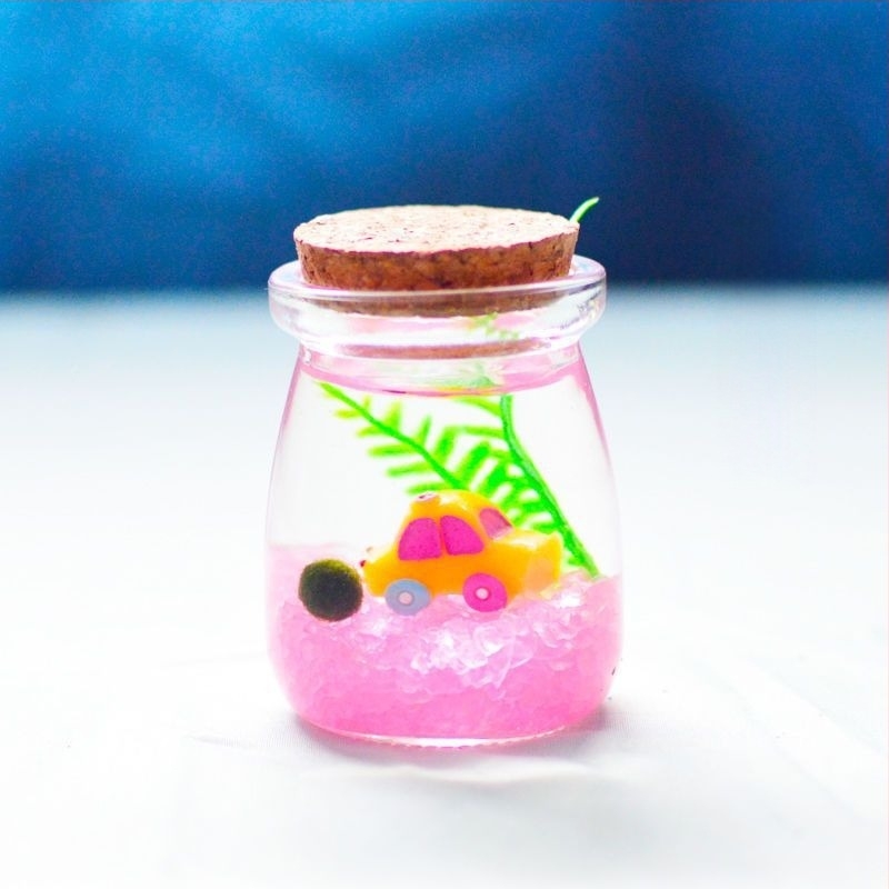 Borcan din sticlă cu micro peisaj pentru hidroponie DIY – ornament mini cadou