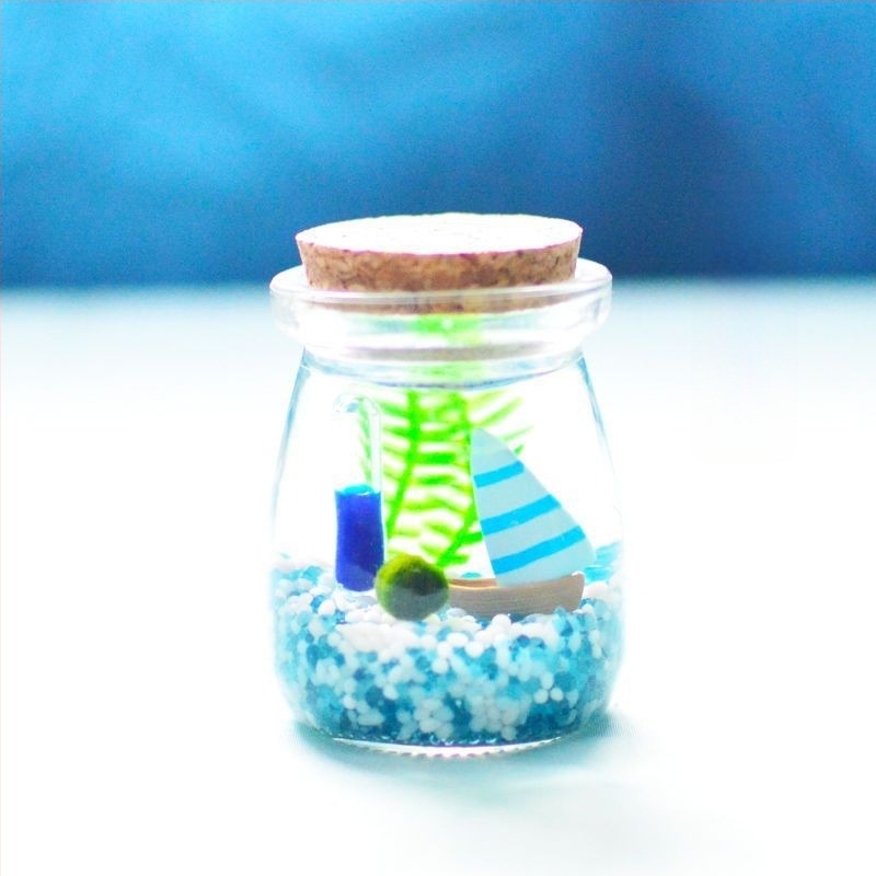 Borcan din sticlă cu micro peisaj pentru hidroponie DIY – ornament mini cadou