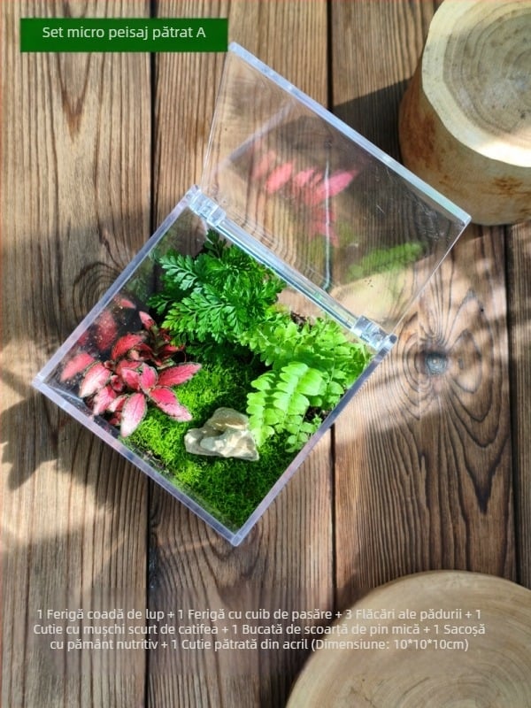 Set micro peisaj cu mușchi – cutie pătrată, plantă de birou, material din flori de mătase, varietate tortoise shell, pentru nunți