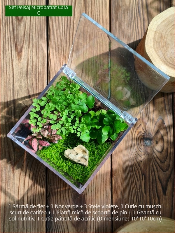 Set micro peisaj cu mușchi – cutie pătrată, plantă de birou, material din flori de mătase, varietate tortoise shell, pentru nunți