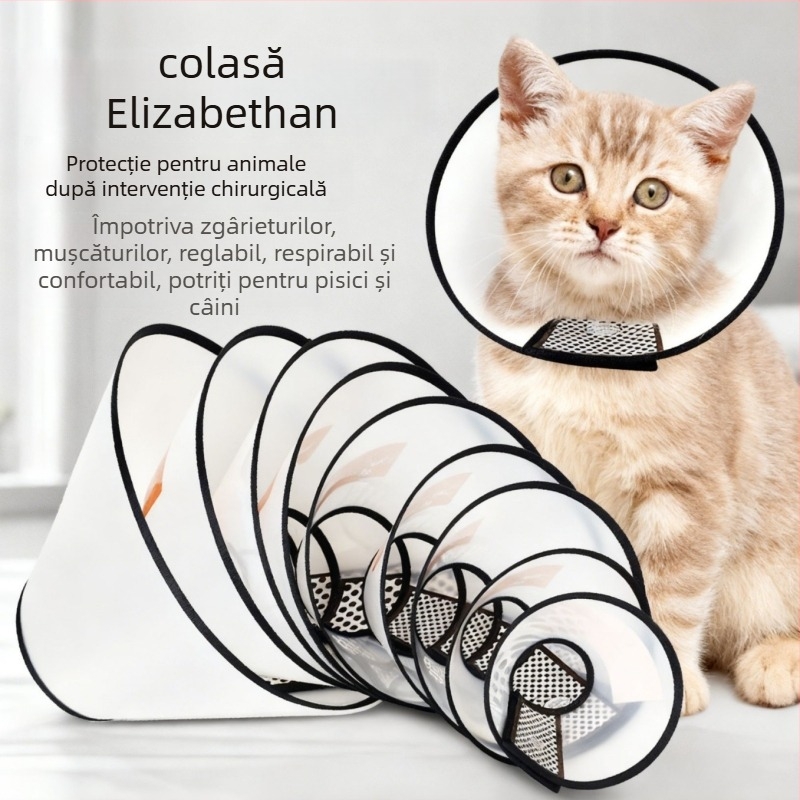 Colier Elizabethan pentru pisici și câini — protecție împotriva mușcăturilor și a lingării, după sterilizare