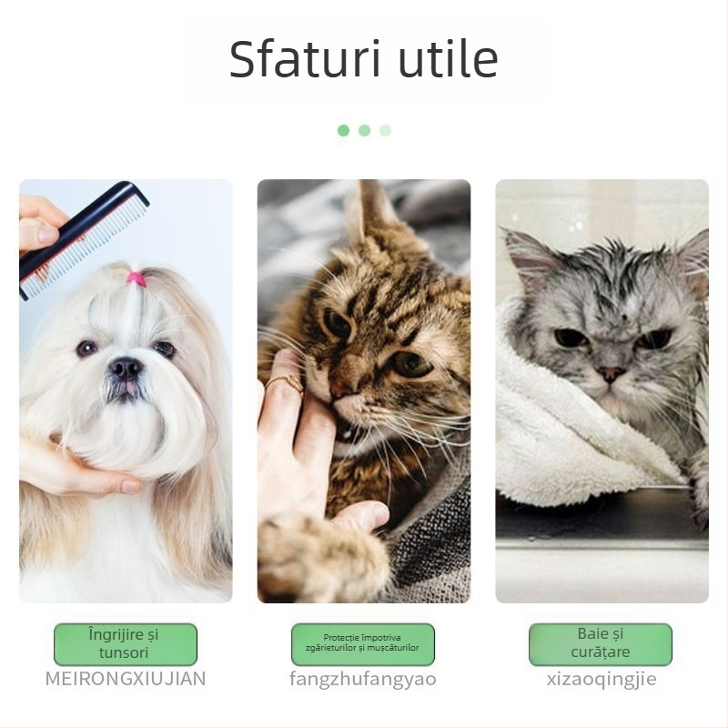 Colier Elizabethan pentru pisici și câini — protecție împotriva mușcăturilor și a lingării, după sterilizare