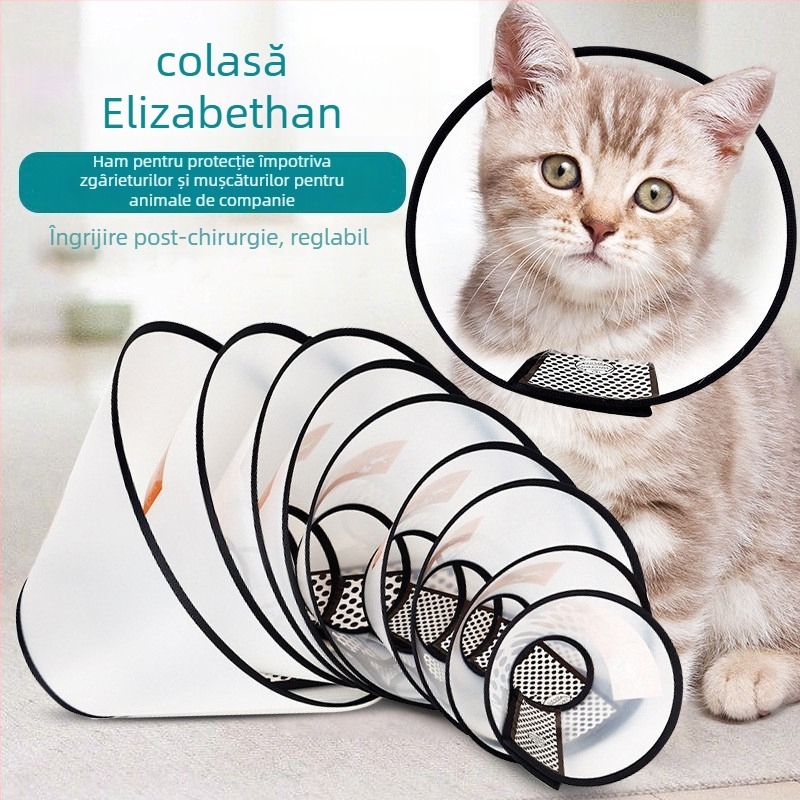 Colier Elizabethan pentru pisici și câini — protecție împotriva mușcăturilor și a lingării, după sterilizare