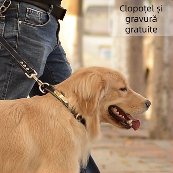 Colar pentru câini – Piele de vită, Design multistrat, Pandantiv din piele (Brand: Unique, Material: Piele de vită, Pandantiv: Piele)